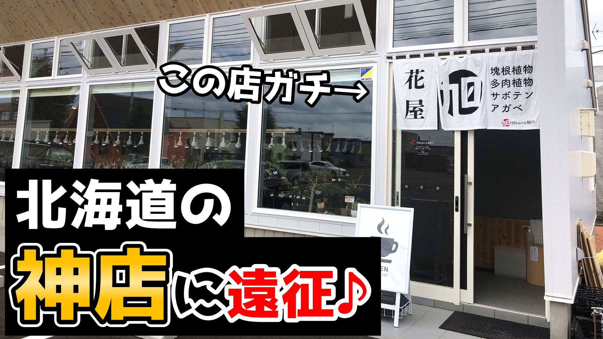 【らんまるの園芸チャンネル】様に「bizarre旭川」をご紹介いただきました。