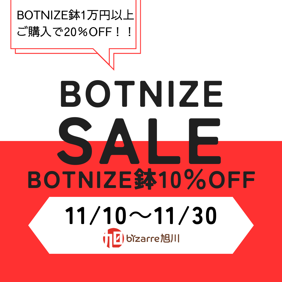 令和6年11月10日(日)10時～販売