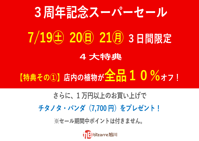 3周年記念スーパーセールのお知らせ①