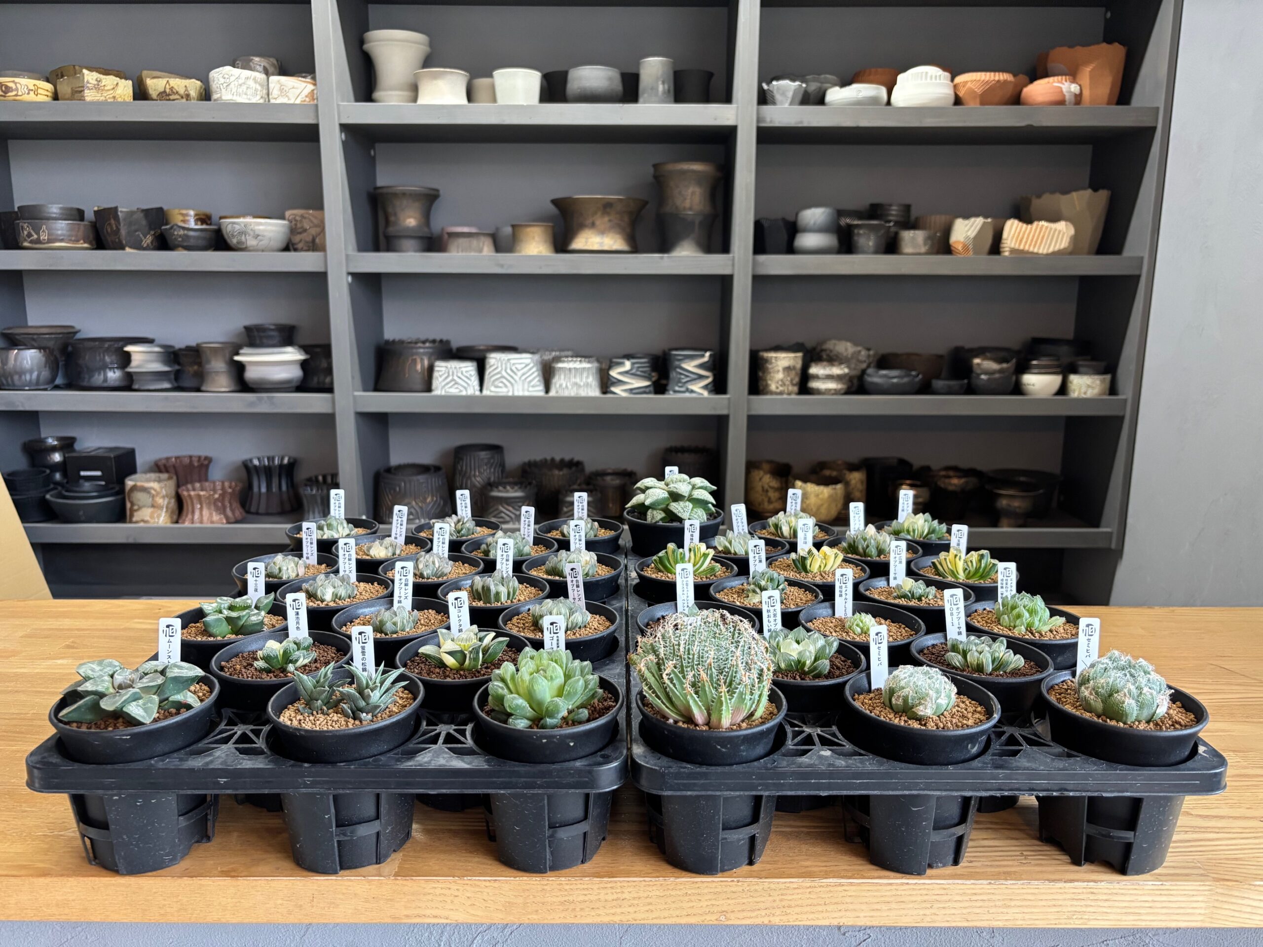 令和7年10月26日(日)10時~販売