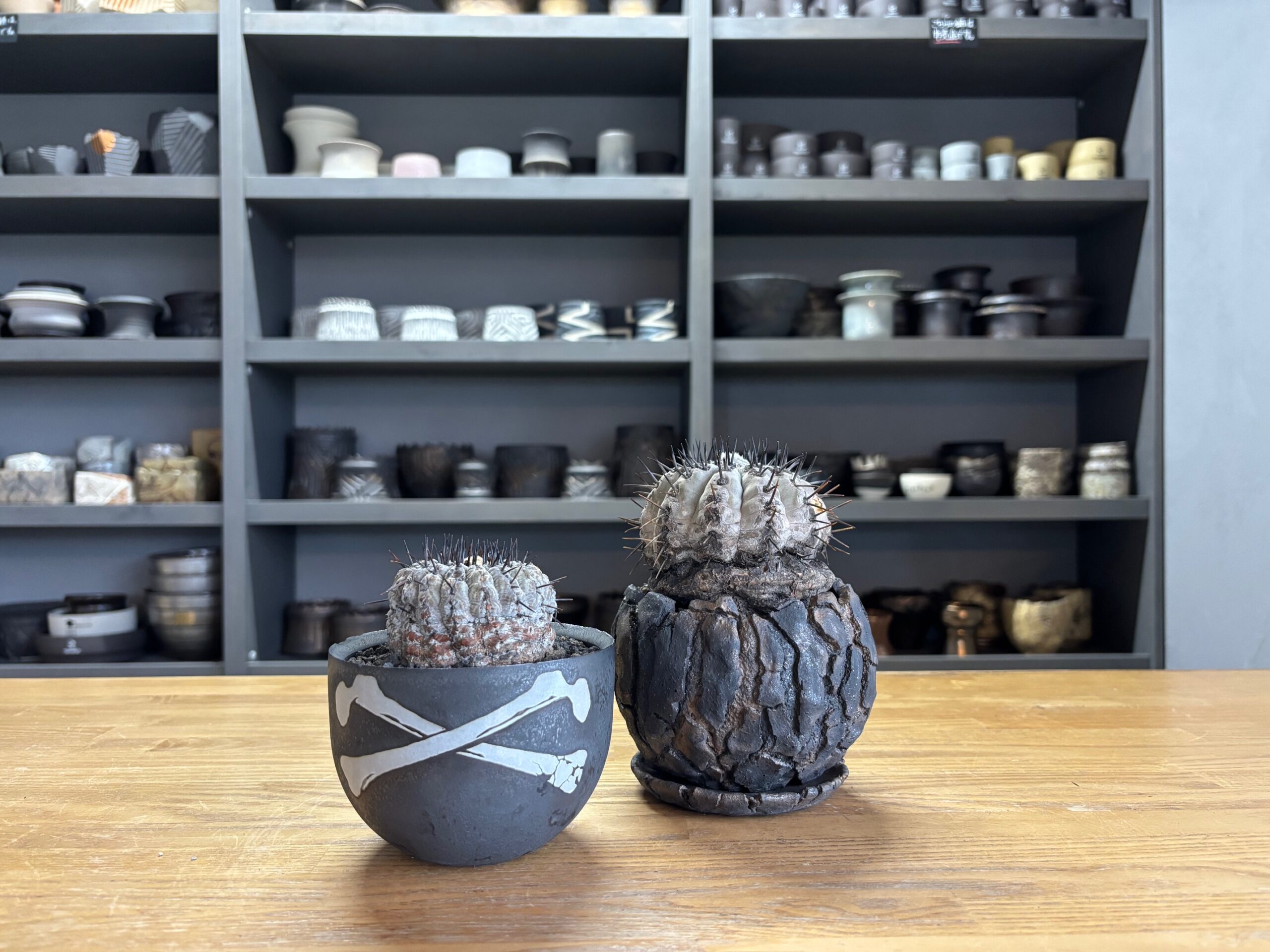 令和7年11月22日(土)10時~販売