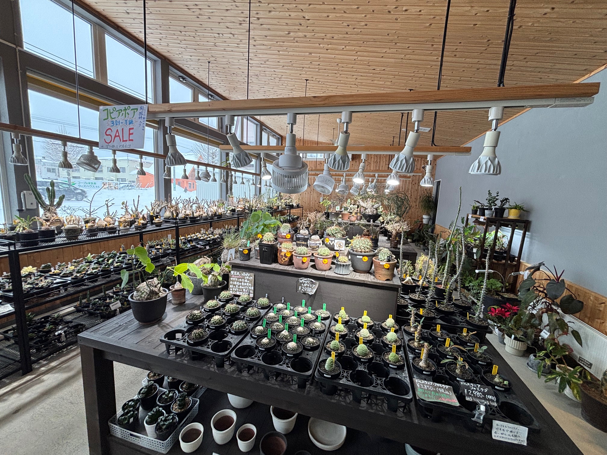 コピアポア 3日間限定セール