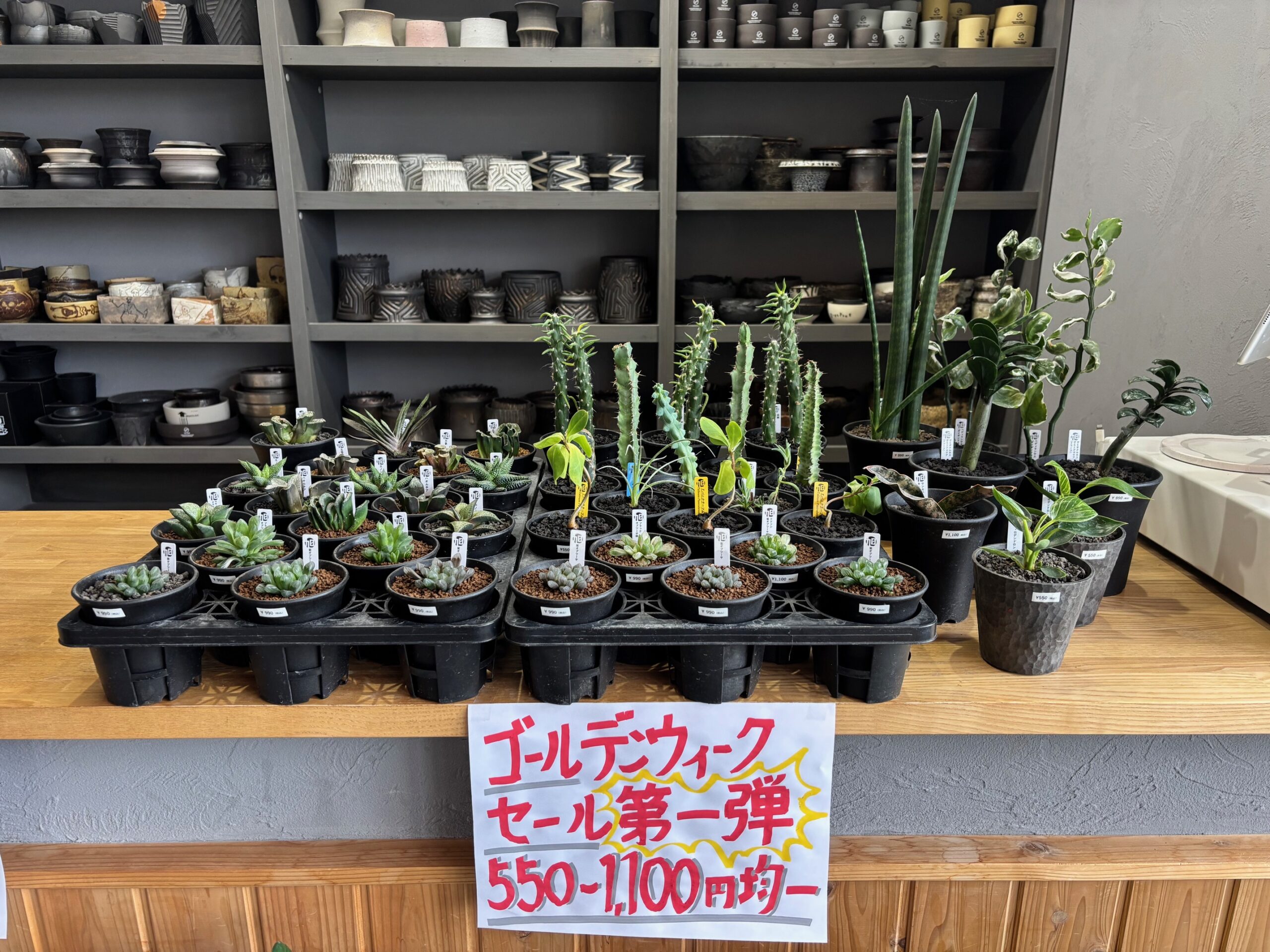 令和8年4月29日(水)～販売