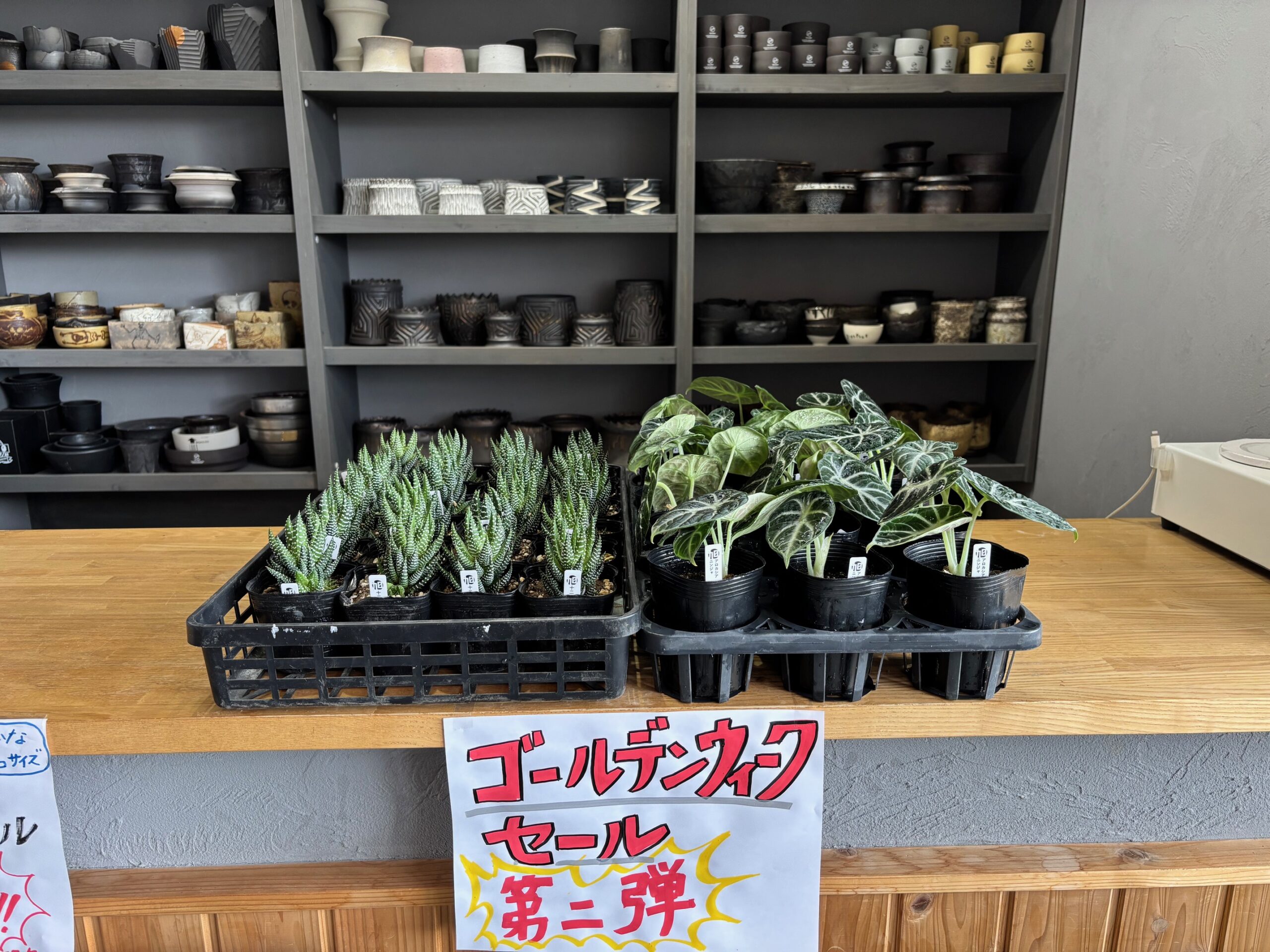 令和8年4月29日(水)～販売