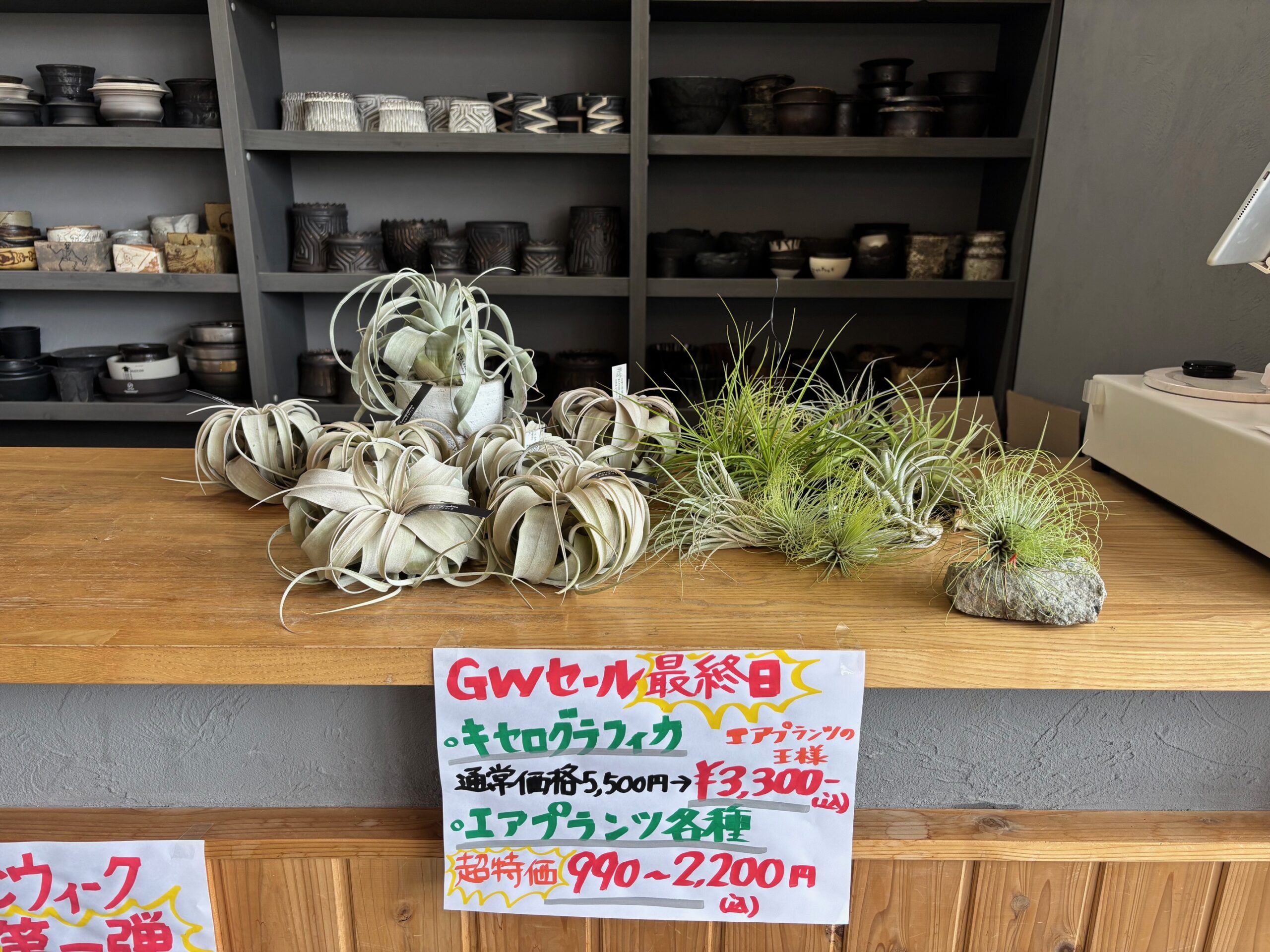 令和8年5月3日(日)～販売