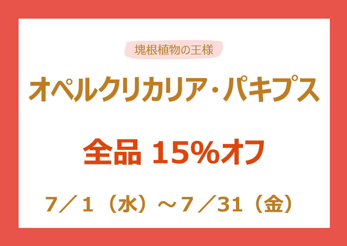 パキプスセール 7/1～7/31